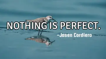 NOTHING IS PERFECT.
