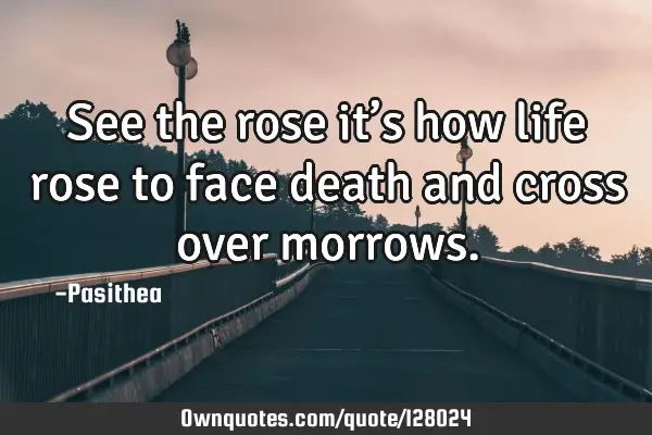 See the rose it’s how life rose to face death and cross over