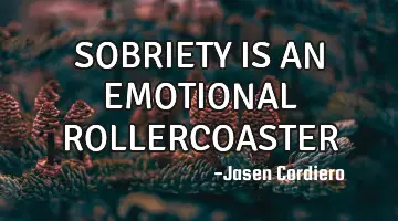 SOBRIETY IS AN EMOTIONAL ROLLERCOASTER