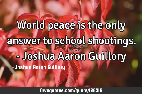 World peace is the only answer to school shootings. - Joshua Aaron G