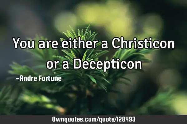 You are either a Christicon or a D