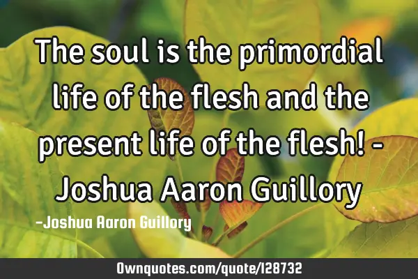 The soul is the primordial life of the flesh and the present life of the flesh! - Joshua Aaron G