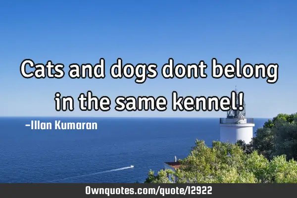 Cats and dogs dont belong in the same kennel!