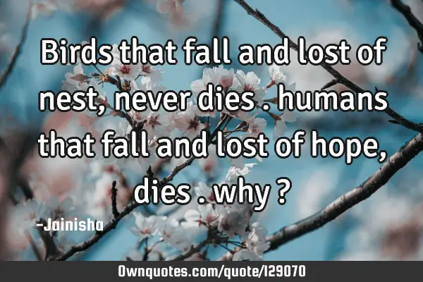 Birds that fall and lost of nest, never dies . humans that fall and lost of hope ,dies . why ?