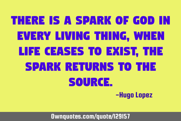 There is a spark of God in every living thing, when life ceases to exist, the spark returns to the S