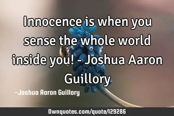 Innocence is when you sense the whole world inside you! - Joshua Aaron G