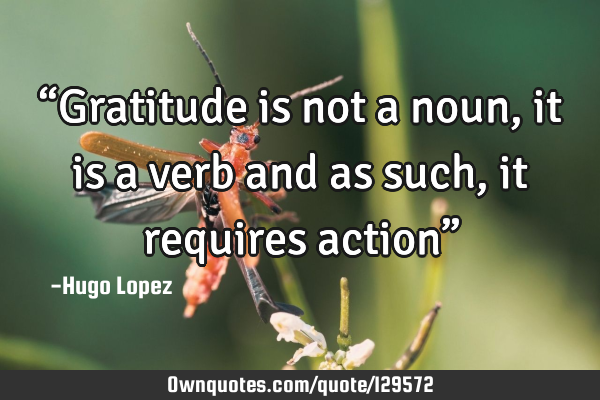 “Gratitude is not a noun, it is a verb and as such, it requires action”