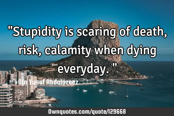 "Stupidity is scaring of death, risk,calamity when dying everyday."