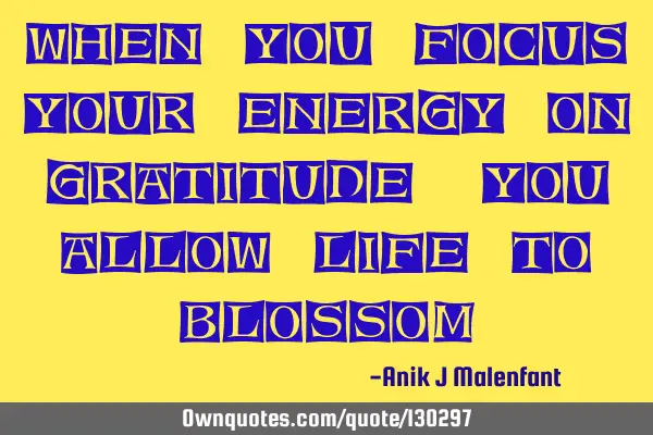 When you focus your energy on gratitude, you allow life to