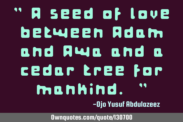 " A seed of love between Adam and Awa and a cedar tree for mankind. "