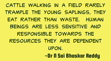 Cattle walking in a field rarely trample the young saplings, they eat rather than waste. Human