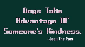 Dogs Take Advantage Of Someone's Kindness.