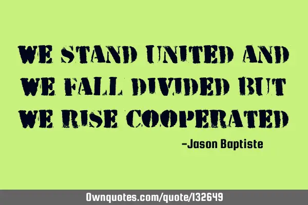 We stand united and we fall divided but we rise