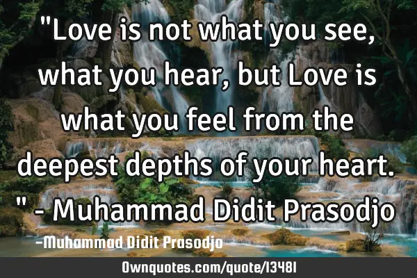 "Love is not what you see, what you hear, but Love is what you feel from the deepest depths of your