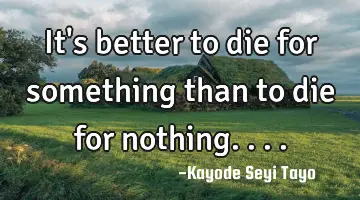 It's better to die for something than to die for nothing....