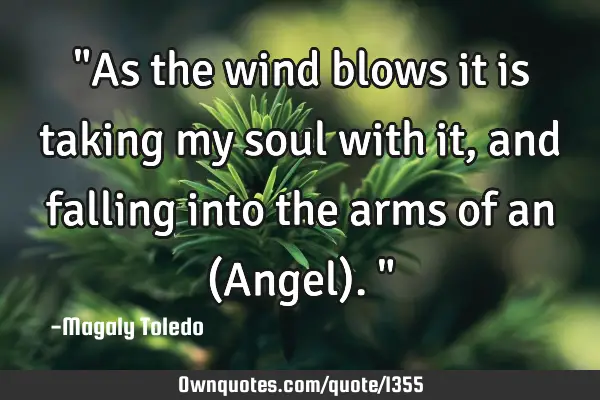 "As the wind blows it is taking my soul with it,and falling into the arms of an (Angel)."