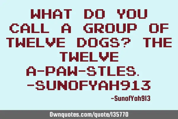 What Do You Call A Group Of Twelve Dogs? The Twelve A-Paw-Stles. -SunofYah913
