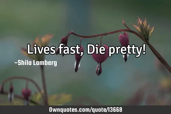 Lives fast,Die pretty!