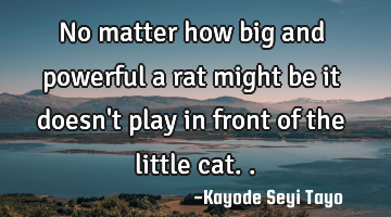 No matter how big and powerful a rat might be it doesn't play in front of the little cat..