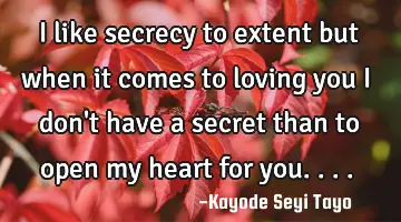 I like secrecy to extent but when it comes to loving you I don't have a secret than to open my