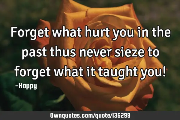 Forget what hurt you in the past thus never sieze to forget what it taught you!