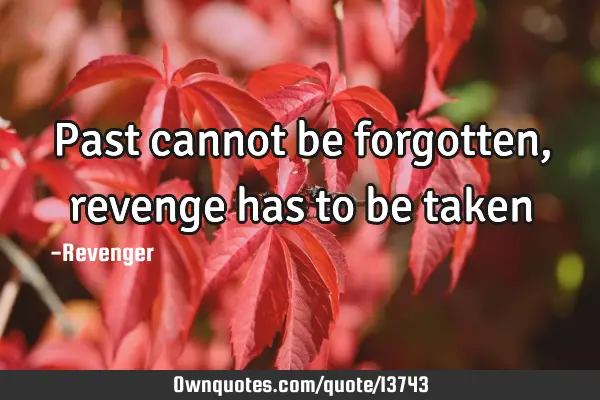 Past cannot be forgotten , revenge has to be