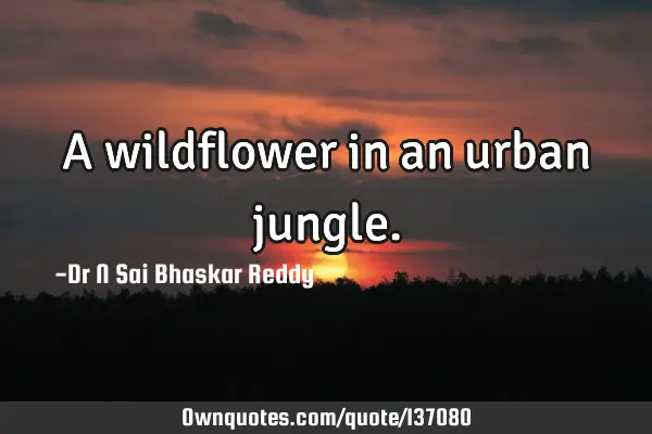 A wildflower in an urban