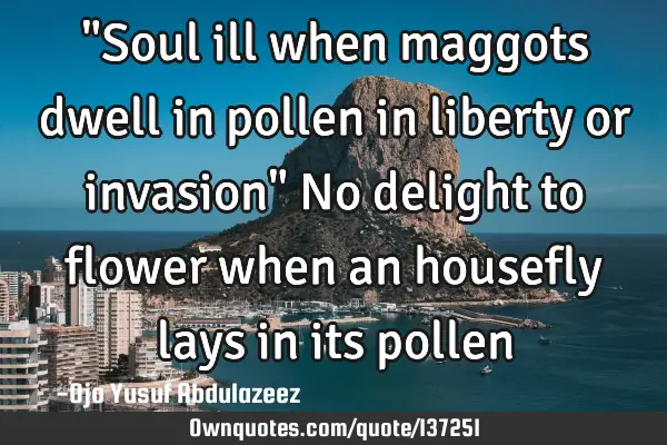 "Soul ill when maggots dwell in pollen in liberty or invasion" No delight to flower when an