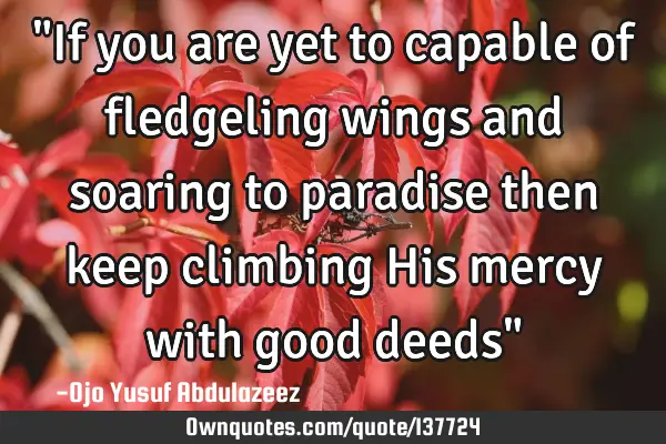 "If you are yet to capable of fledgeling wings and soaring to paradise then keep climbing His mercy