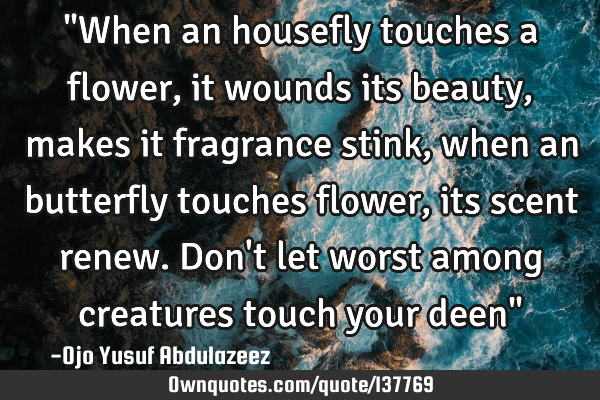 "When an housefly touches a flower, it wounds its beauty, makes it fragrance stink, when an