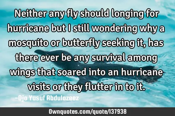 Neither any fly should longing for hurricane but I still wondering why a mosquito or butterfly