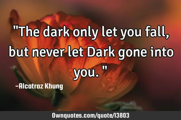 "The dark only let you fall, but never let Dark gone into you."