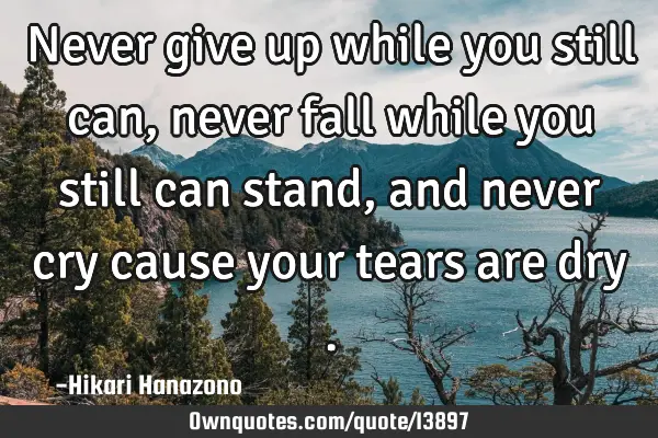 Never give up while you still can , never fall while you still can stand , and never cry cause your
