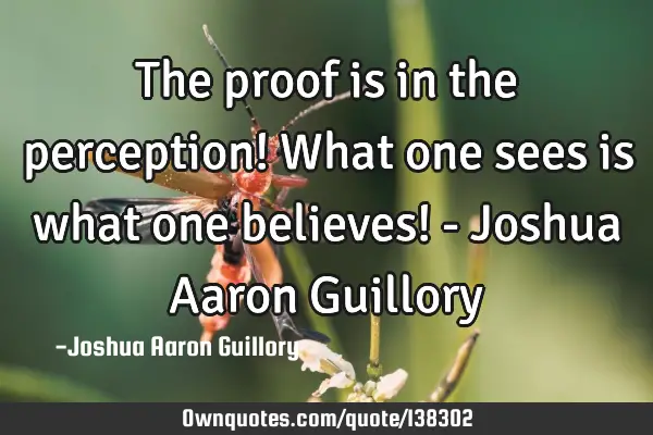 The proof is in the perception! What one sees is what one believes! - Joshua Aaron G