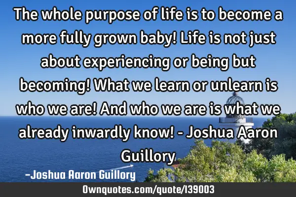 The whole purpose of life is to become a more fully grown baby! Life is not just about experiencing