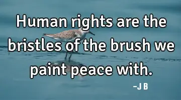 Human rights are the bristles of the brush we paint peace