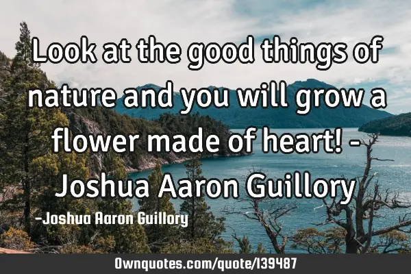 Look at the good things of nature and you will grow a flower made of heart! - Joshua Aaron G