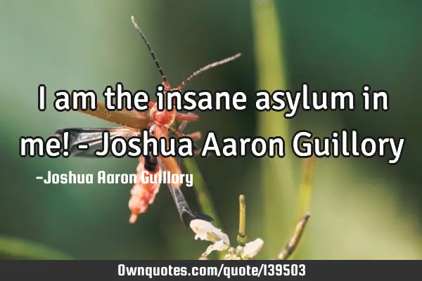 I am the insane asylum in me! - Joshua Aaron G