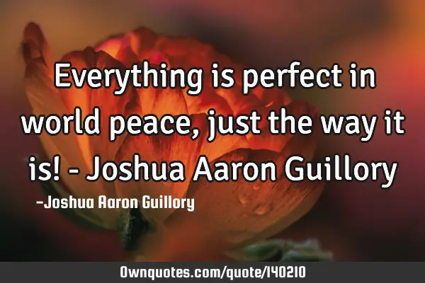 Everything is perfect in world peace, just the way it is! - Joshua Aaron G