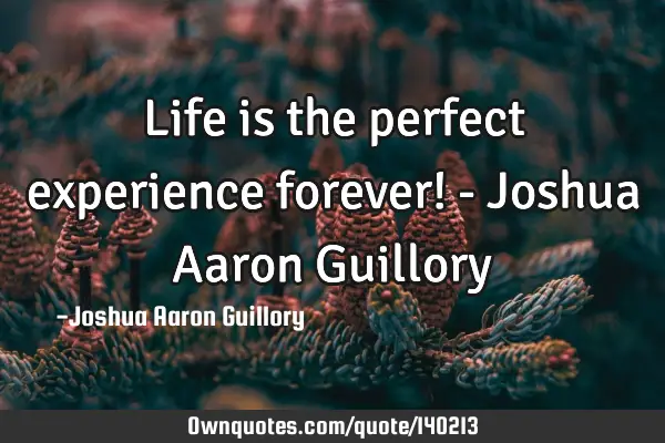 Life is the perfect experience forever! - Joshua Aaron G
