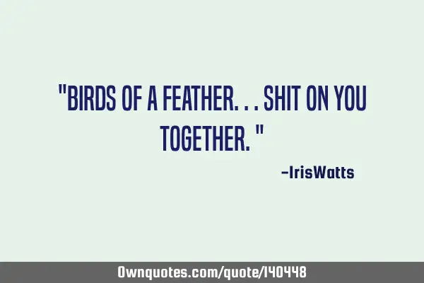 "Birds of a feather...shit on you together."