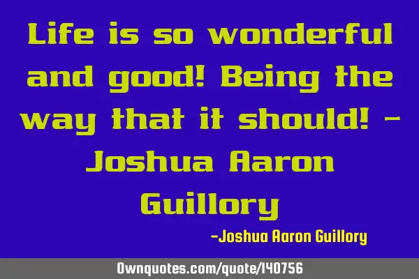 Life is so wonderful and good! Being the way that it should! - Joshua Aaron G