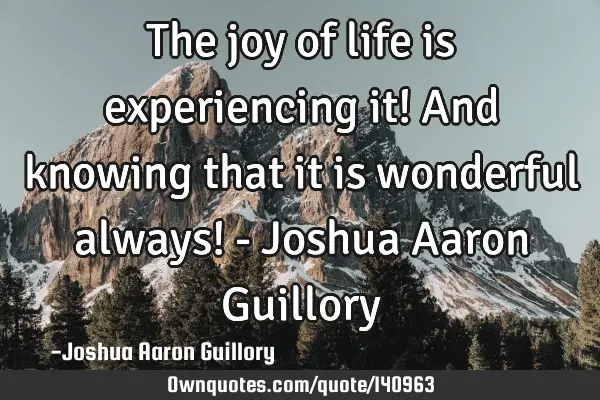 The joy of life is experiencing it! And knowing that it is wonderful always! - Joshua Aaron G