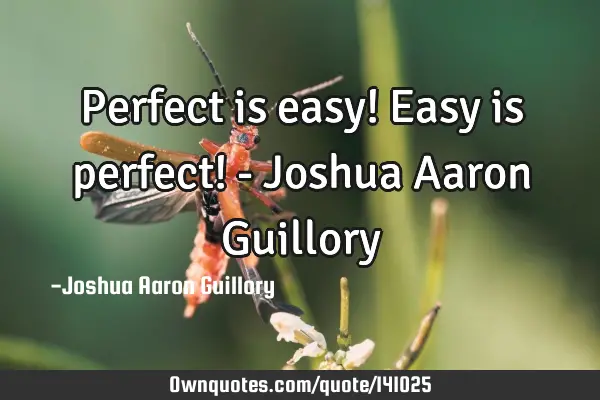Perfect is easy! Easy is perfect! - Joshua Aaron G