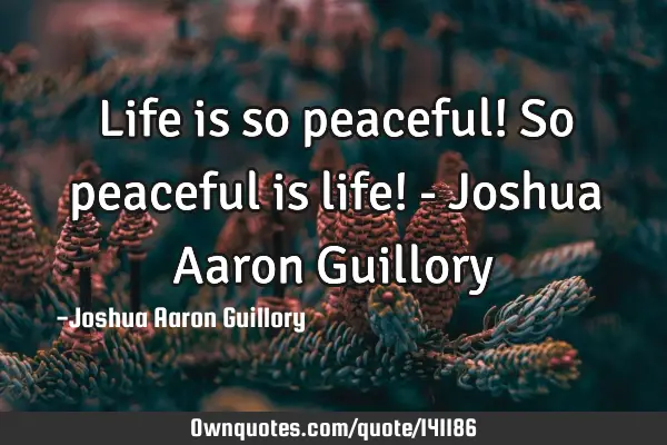 Life is so peaceful! So peaceful is life! - Joshua Aaron G