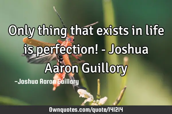 Only thing that exists in life is perfection! - Joshua Aaron G