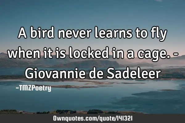 A bird never learns to fly when it is locked in a cage. - Giovannie de S