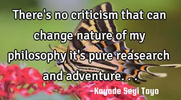 There's no criticism that can change nature of my philosophy it's pure reasearch and adventure...