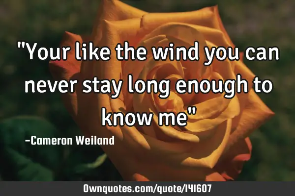 "Your like the wind you can never stay long enough to know me"