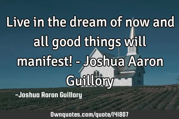 Live in the dream of now and all good things will manifest! - Joshua Aaron G